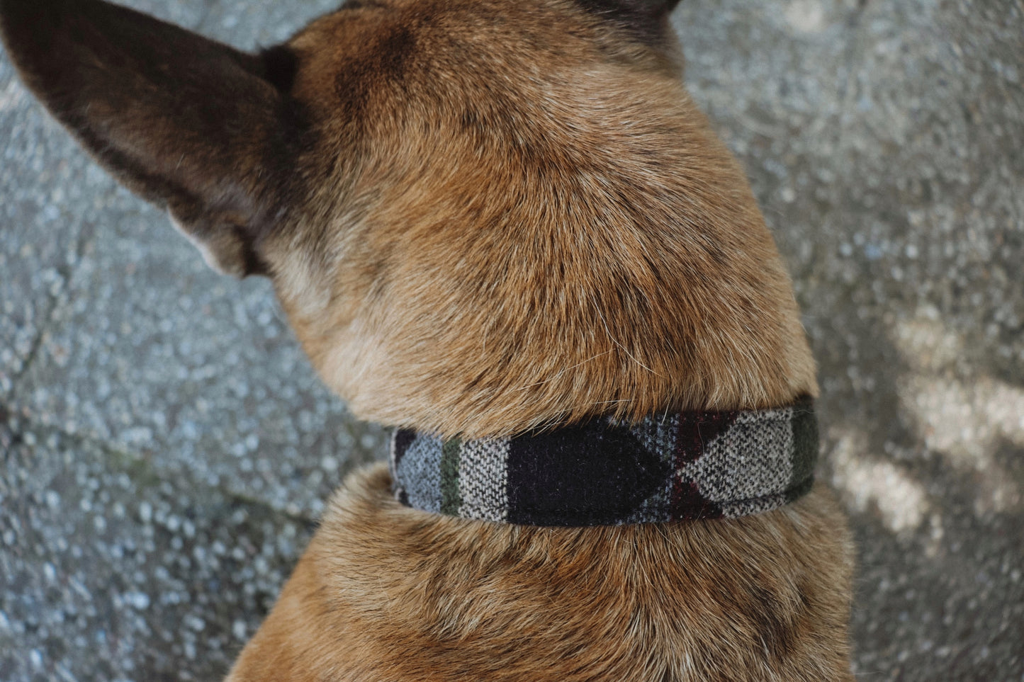 TYR collar in an ethnic look made of greased leather and fabric combination - available in different designs