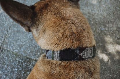 TYR collar in an ethnic look made of greased leather and fabric combination - available in different designs