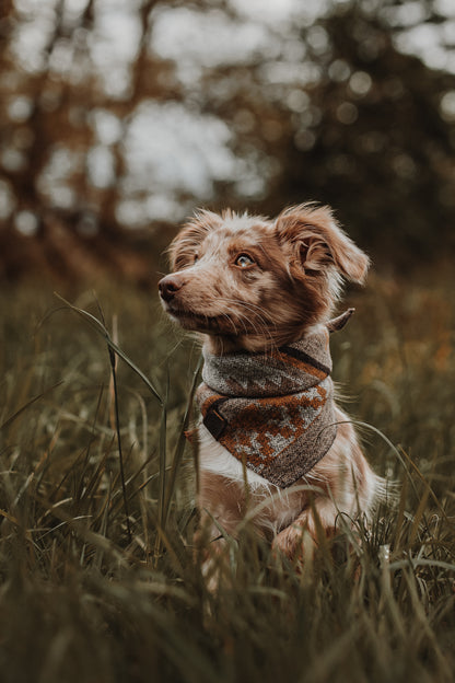 Halstuch THRUD - Bandana | Hundehalstuch | mittelschwer
