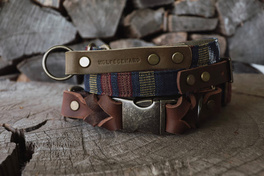 Halsband ODIN • Fettleder-Stoff-Kombi | verschiedene Varianten erhältlich