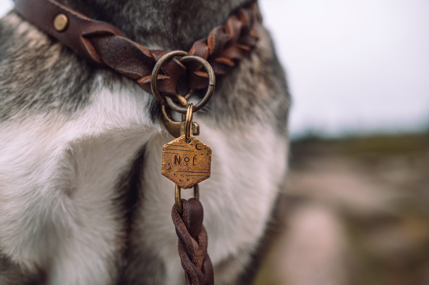 Zugstopp Halsband aus Fettleder | Retrieverhalsband zum Überstreifen