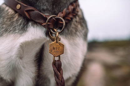 Zugstopp Halsband aus Fettleder | Retrieverhalsband zum Überstreifen