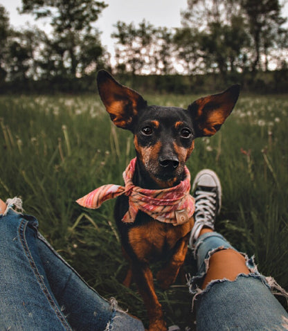 Halstuch YLVI - Bandana | Hundehalstuch | leicht