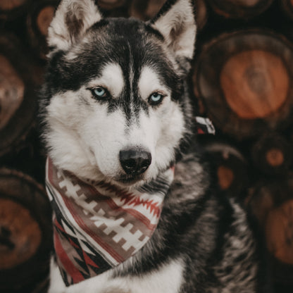 Halstuch BROKK - Bandana | Hundehalstuch | mittelschwer