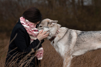 Halstuch SINDRI - Bandana | Hundehalstuch | mittelschwer
