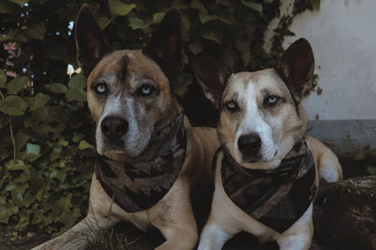 Halstuch GEFION - Bandana | Hundehalstuch | mittelschwer