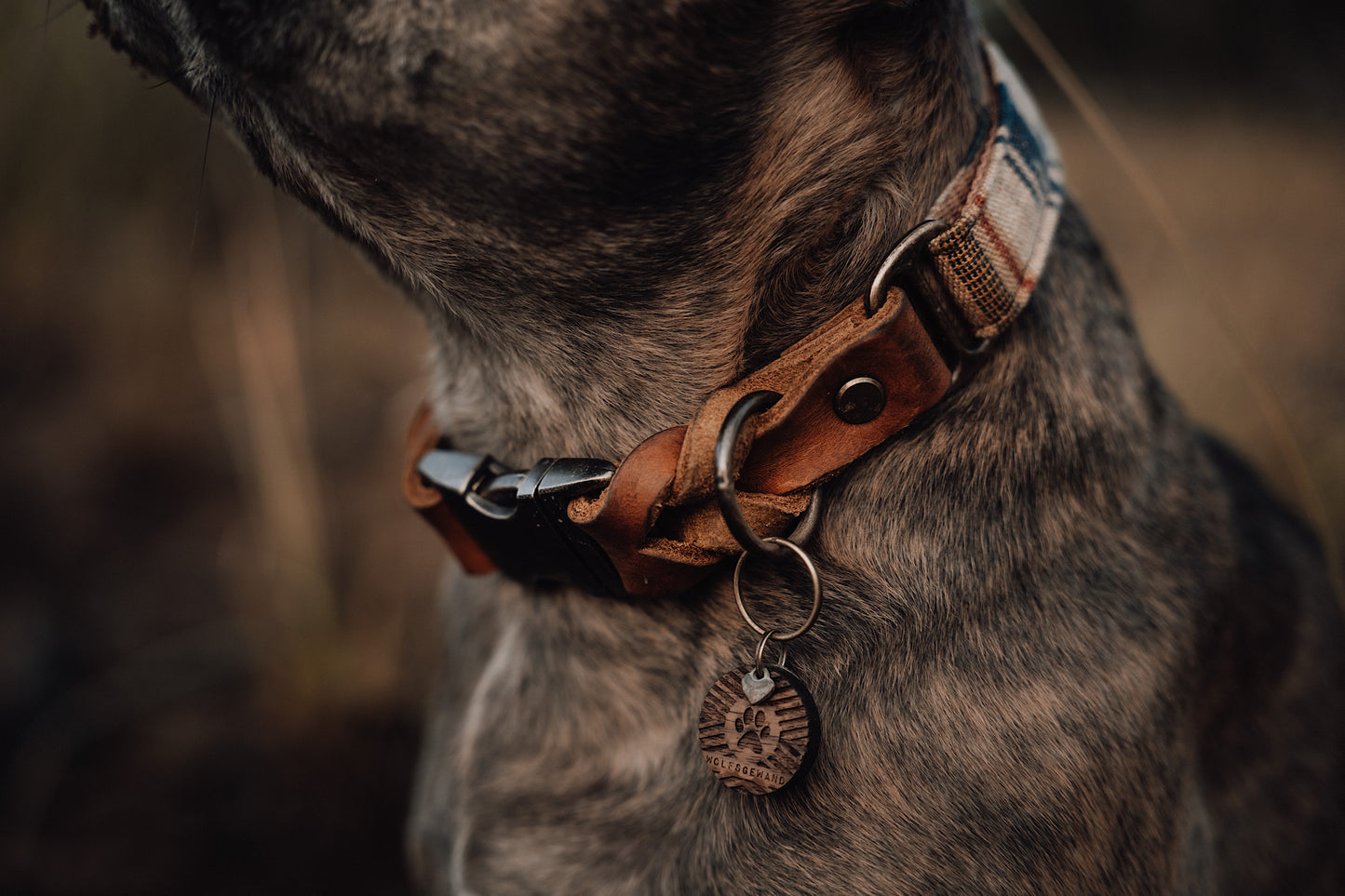 GERI collar in an ethnic look made of greased leather and fabric combination - available in different designs