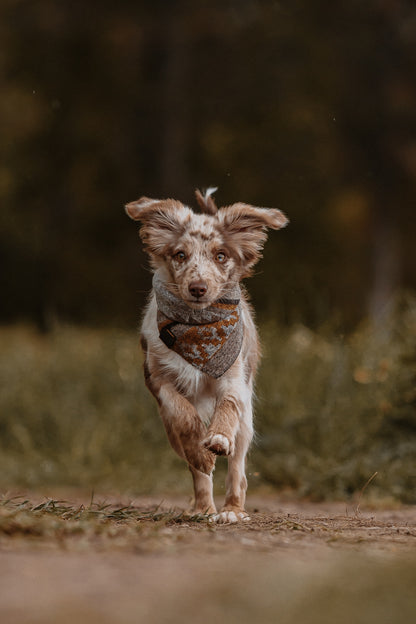 Halstuch THRUD - Bandana | Hundehalstuch | mittelschwer