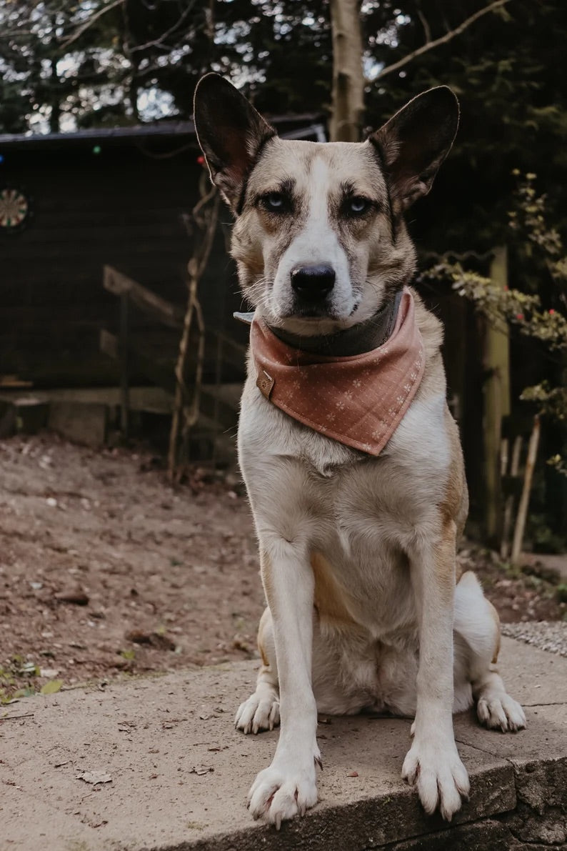 Halstuch RUNA - Bandana Hundehalstuch | leicht