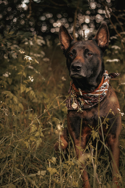 Halstuch MANI - Bandana | Hundehalstuch | leicht