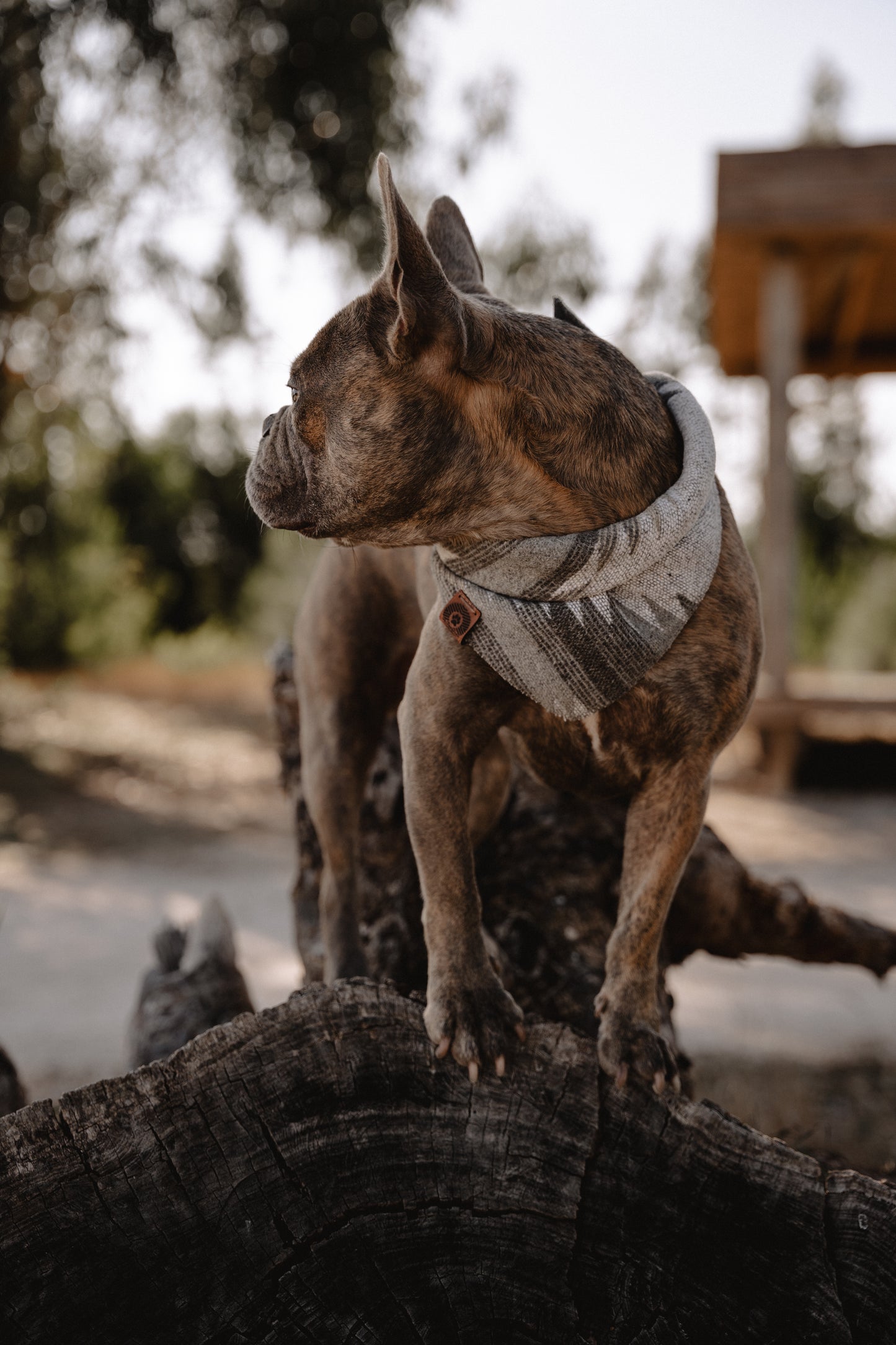Halstuch SKULD - Bandana | Hundehalstuch | mittelschwer