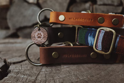 Halsband FREKI • Fettleder-Stoff-Kombi | verschiedene Varianten erhältlich