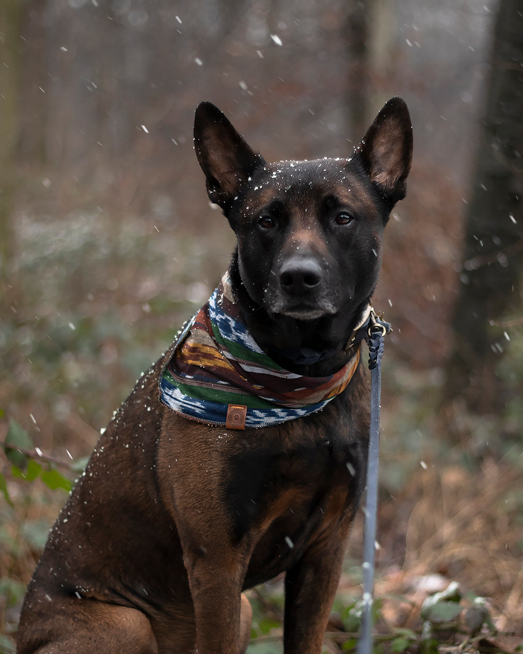 Halstuch FREKI - Bandana | Hundehalstuch | leicht