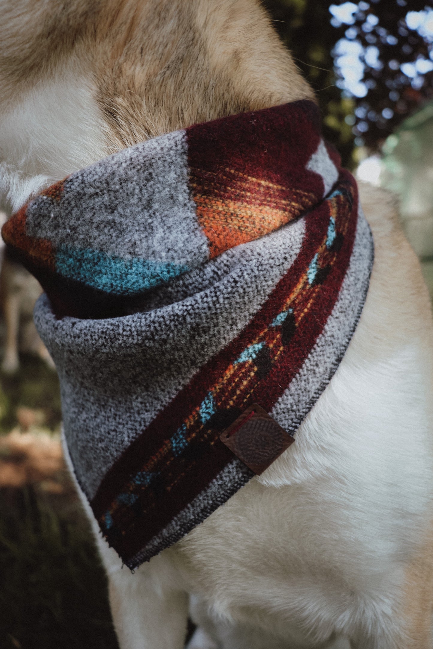 Halstuch ASA - Bandana | Hundehalstuch | mittelschwer