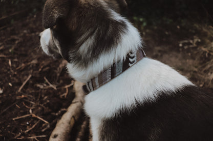 Halsband FRIGG • Fettleder-Stoff-Kombi | verschiedene Varianten erhältlich