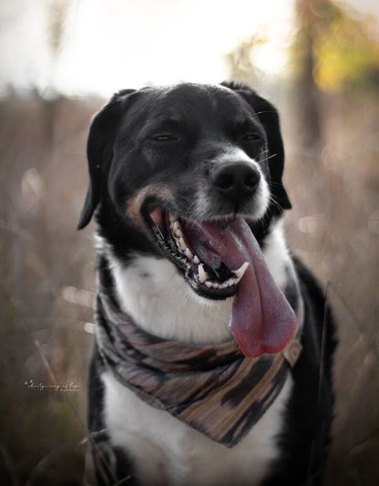 Halstuch SIF - Bandana | Hundehalstuch | leicht