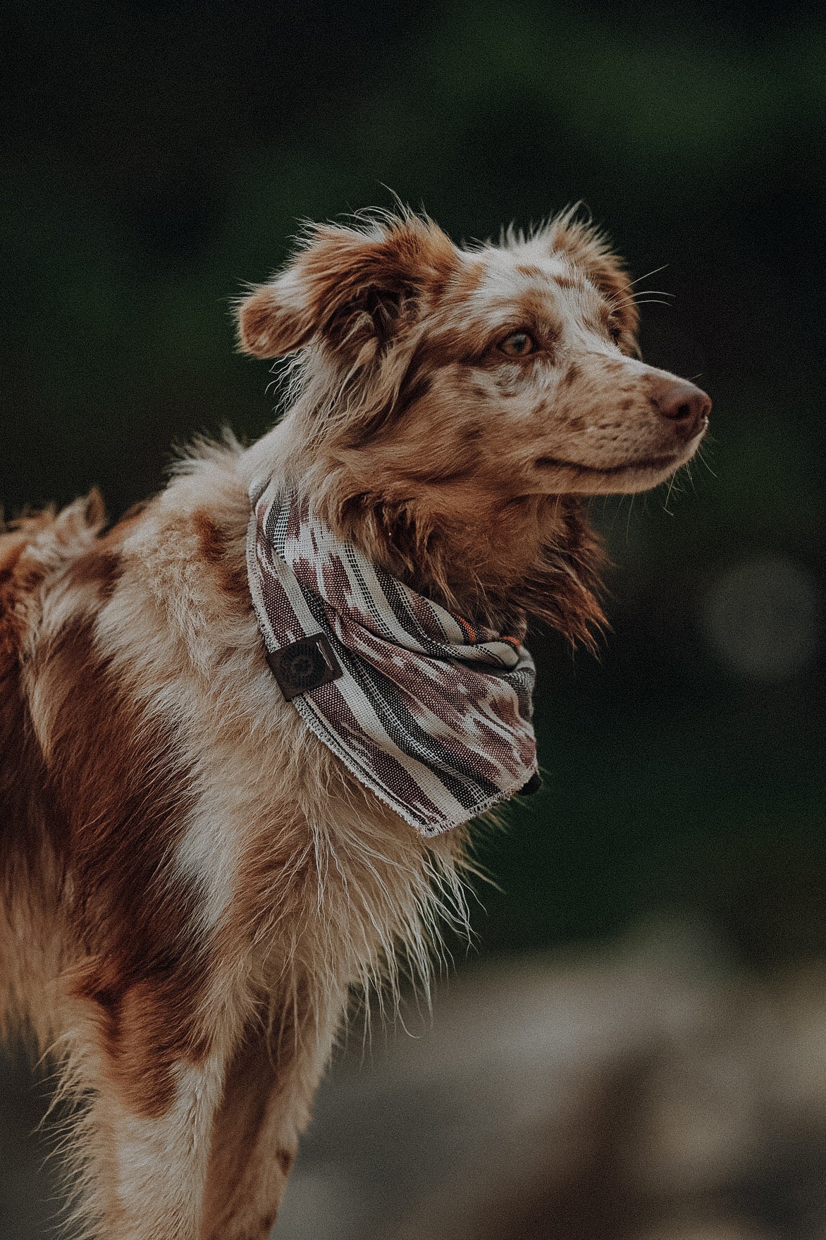 Halstuch SOL - Bandana | Hundehalstuch | leicht