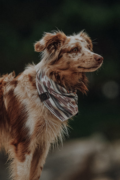Halstuch SOL - Bandana | Hundehalstuch | leicht
