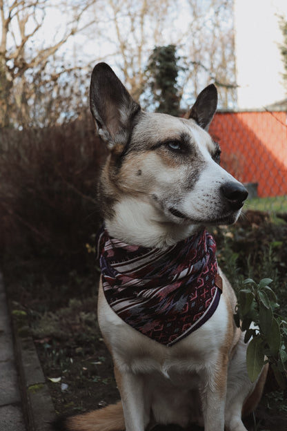 Halstuch HEL - Bandana | Hundehalstuch | schwer