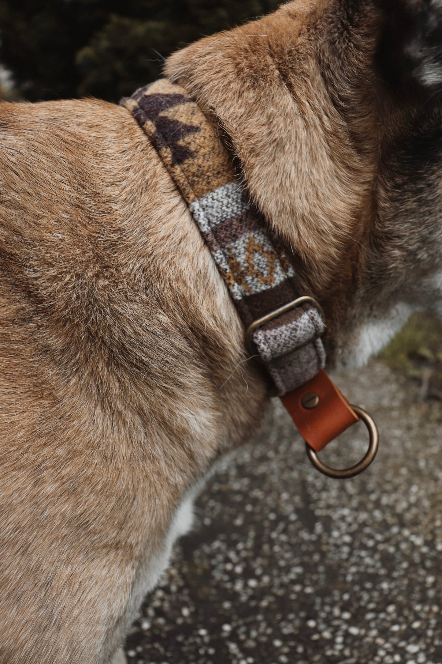 TYR collar in an ethnic look made of greased leather and fabric combination - available in different designs