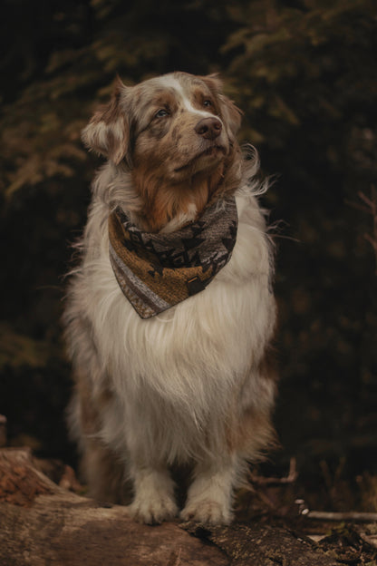 Halstuch THRUD - Bandana | Hundehalstuch | mittelschwer