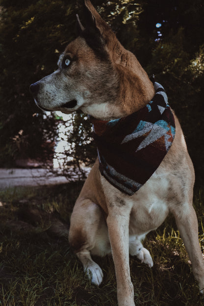 Halstuch ASA - Bandana | Hundehalstuch | mittelschwer