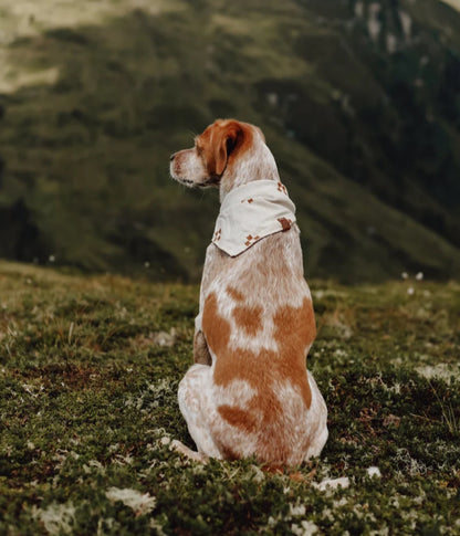 Halstuch RUNA - Bandana Hundehalstuch | leicht