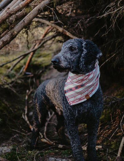Halstuch SINDRI - Bandana | Hundehalstuch | mittelschwer