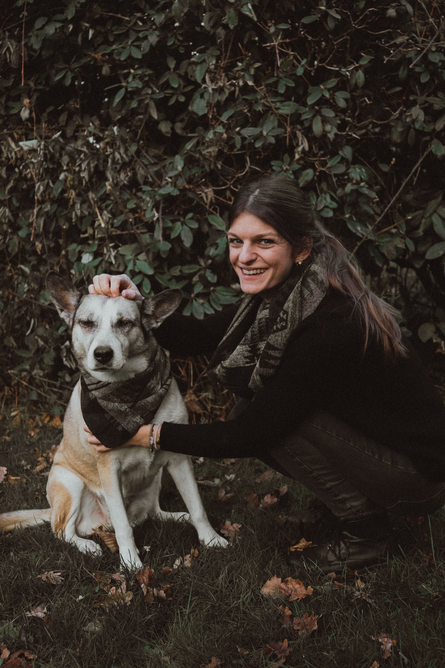 Halstuch VIDAR - Bandana | Hundehalstuch | mittelschwer