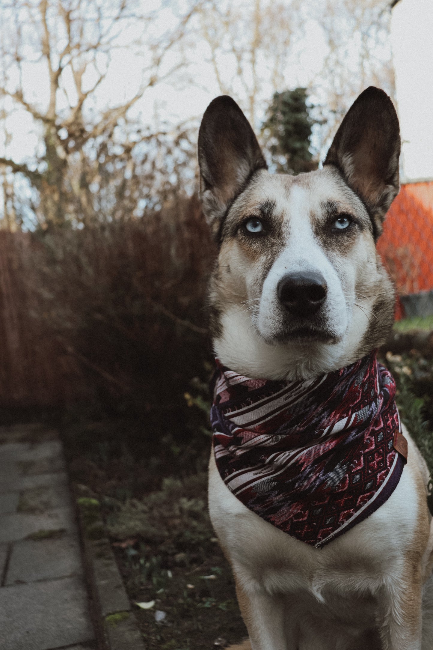 Halstuch HEL - Bandana | Hundehalstuch | schwer