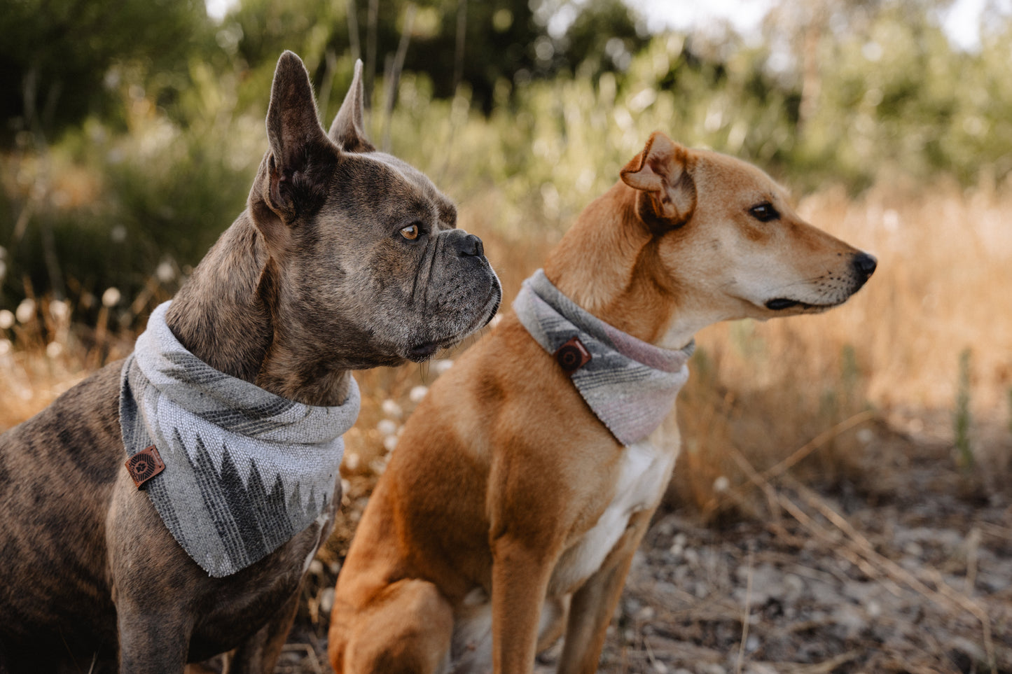 Halstuch SKULD - Bandana | Hundehalstuch | mittelschwer