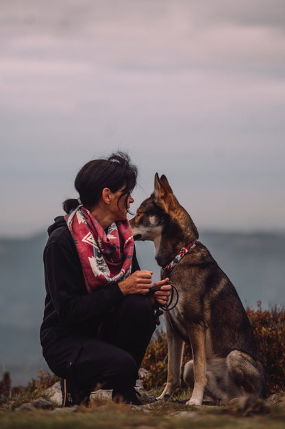 Halstuch SAGA - Bandana | Hundehalstuch | mittelschwer