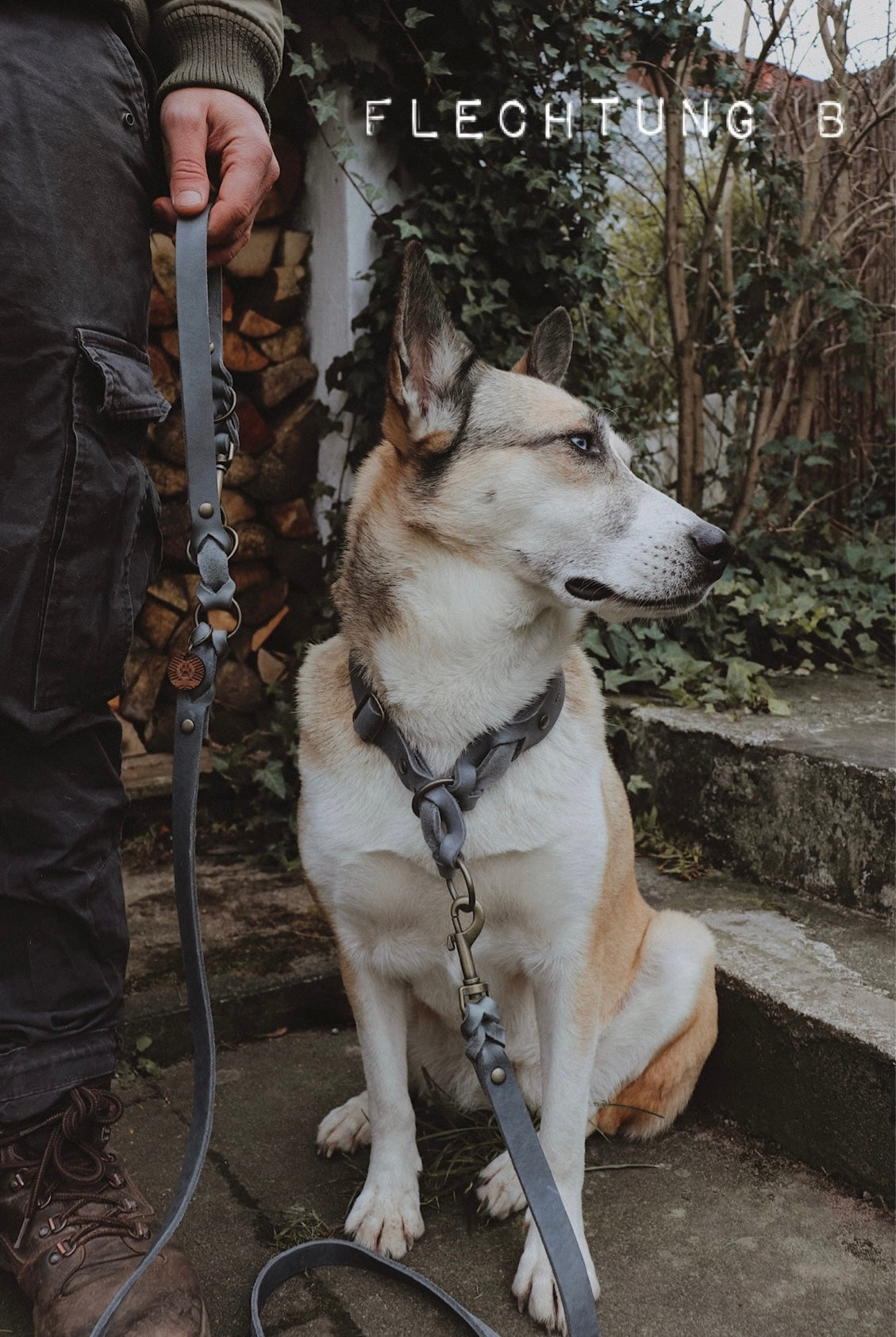 Zugstopp Halsband aus Fettleder | Retrieverhalsband zum Überstreifen