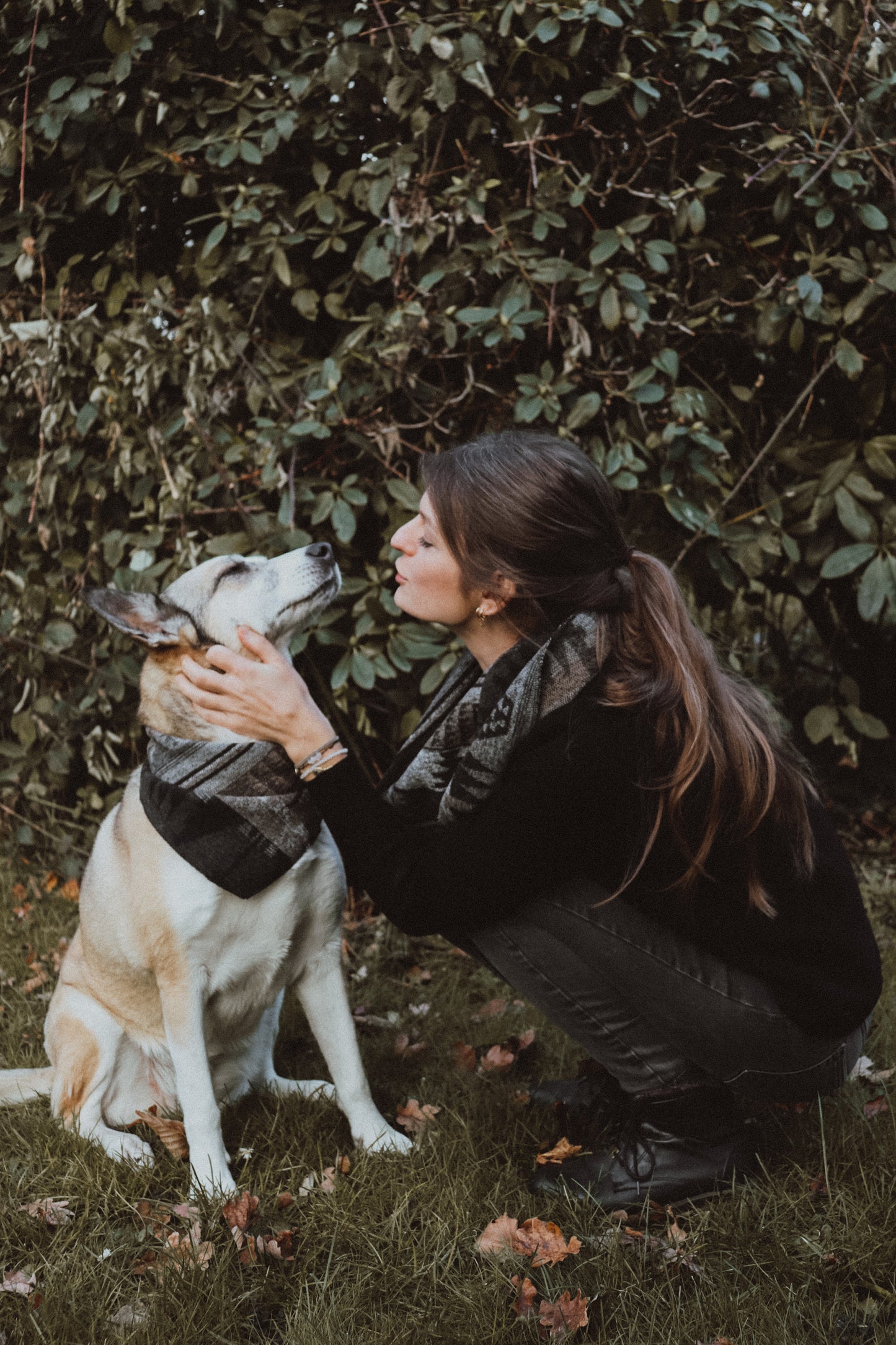 Halstuch VIDAR - Bandana | Hundehalstuch | mittelschwer