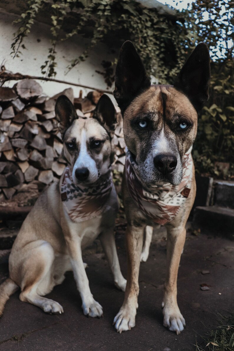 Halstuch EMBLA - Bandana | Hundehalstuch | mittelschwer