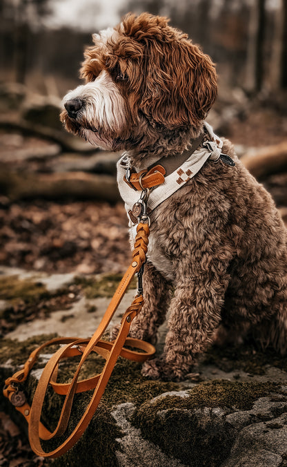 Braided leather leash 3-way adjustable - approx. 2m - different colors