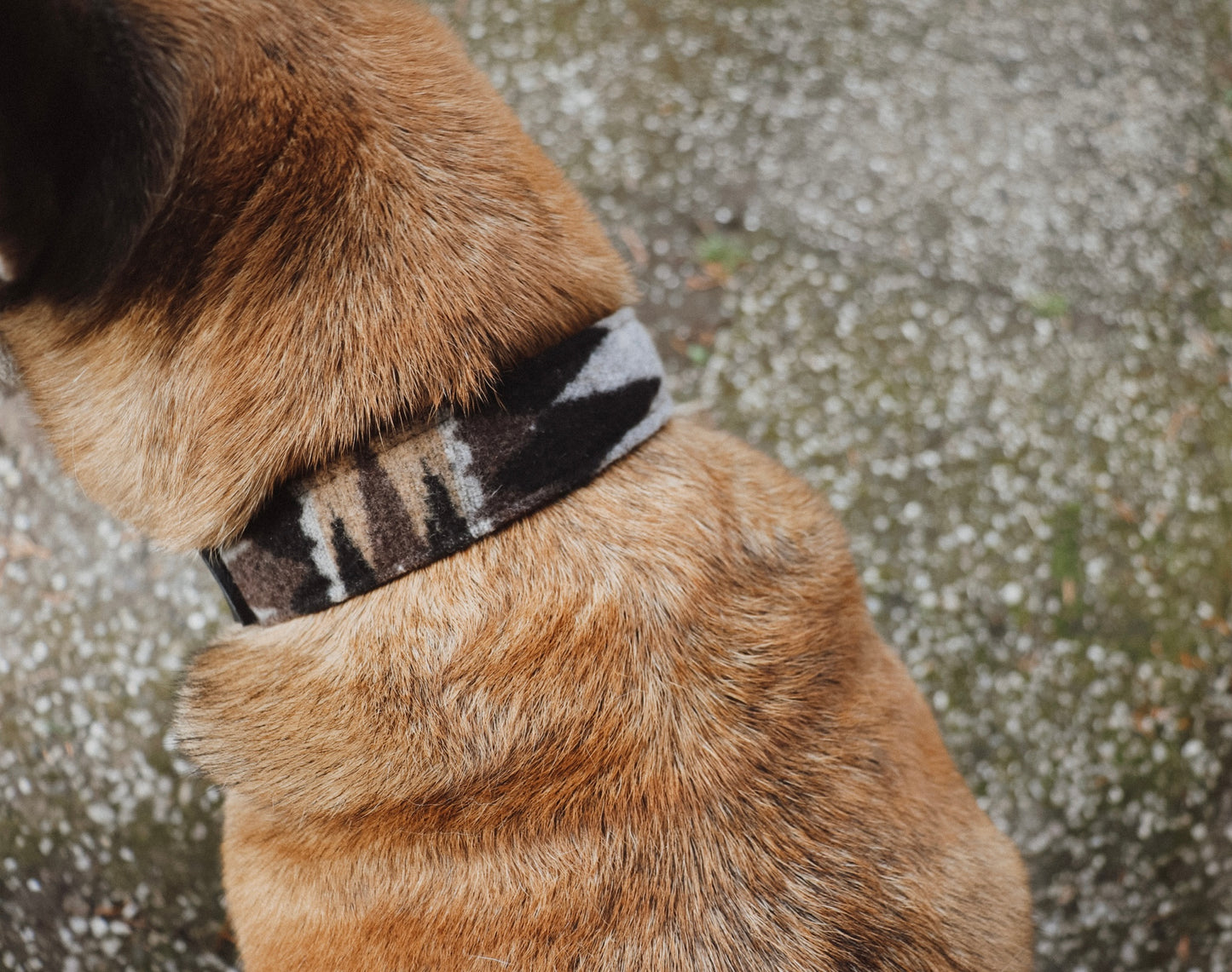 Halsband YMIR • Fettleder-Stoff-Kombi | verschiedene Varianten erhältlich