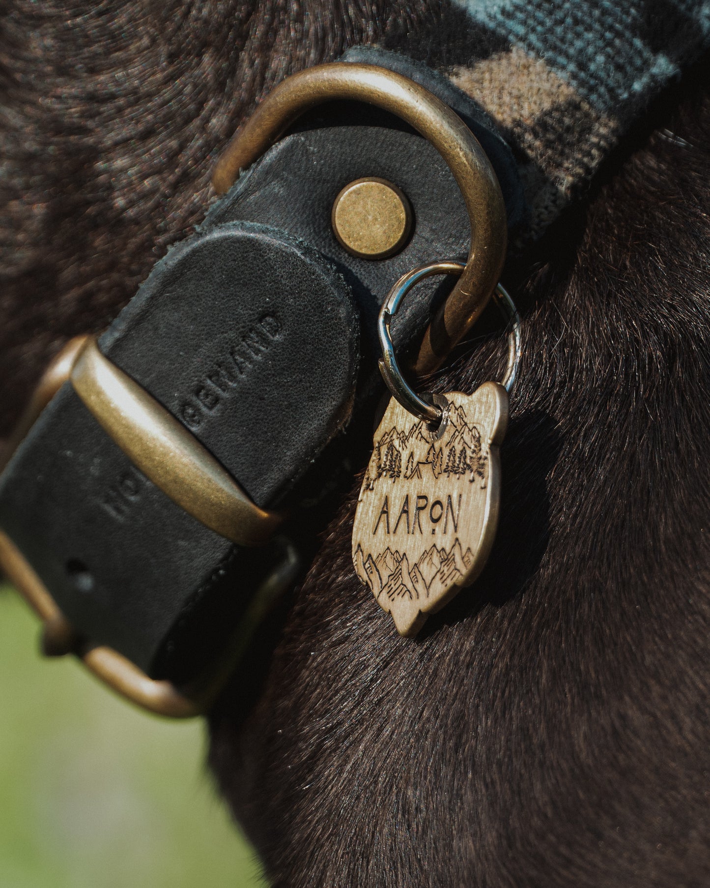 Halsband VALI • Fettleder-Stoff-Kombi | verschiedene Varianten erhältlich