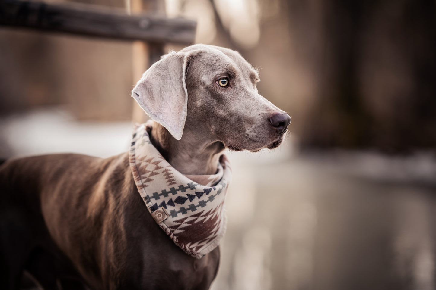 Halstuch EMBLA - Bandana | Hundehalstuch | mittelschwer