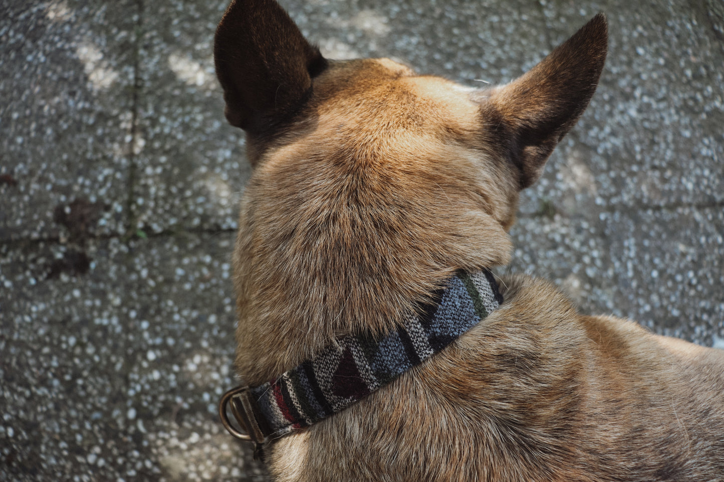 TYR collar in an ethnic look made of greased leather and fabric combination - available in different designs