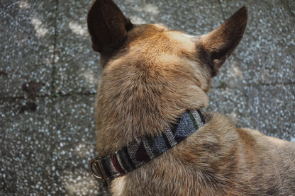 TYR collar in an ethnic look made of greased leather and fabric combination - available in different designs