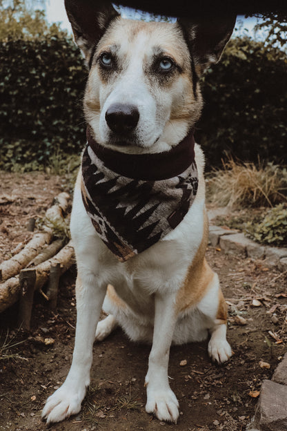 Halstuch YMIR - Bandana | Hundehalstuch | mittelschwer