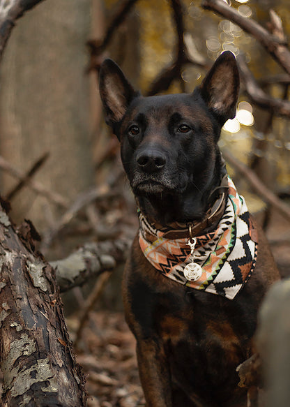 Halstuch LOKI - Bandana | Hundehalstuch | schwer