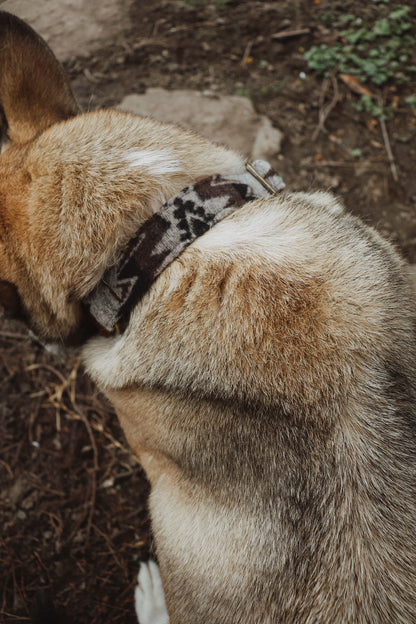 Halsband YMIR • Fettleder-Stoff-Kombi | verschiedene Varianten erhältlich
