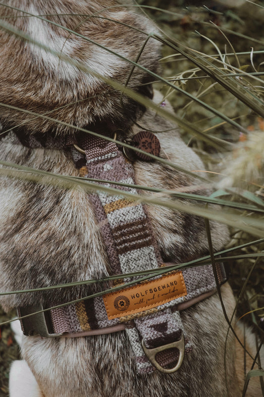 Geschirr THRUD • gepolstert und verstellbar | verschiedene Varianten erhältlich