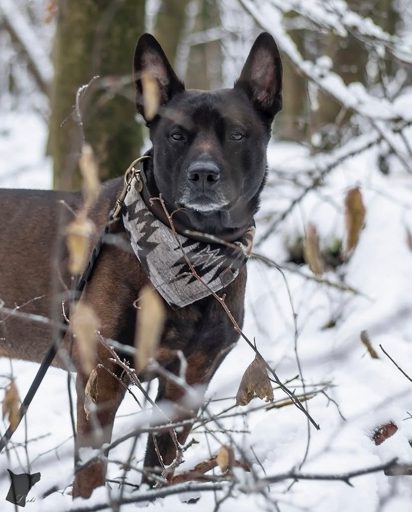 Halstuch YMIR - Bandana | Hundehalstuch | mittelschwer