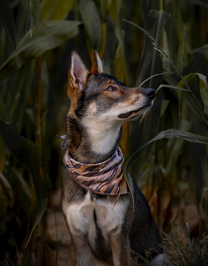 Halstuch SIF - Bandana | Hundehalstuch | leicht