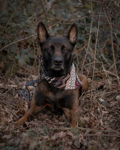 Halstuch FENRIS - Bandana | Hundehalstuch | schwer