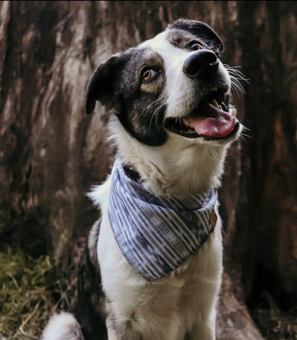 Halstuch YLVI - Bandana | Hundehalstuch | leicht