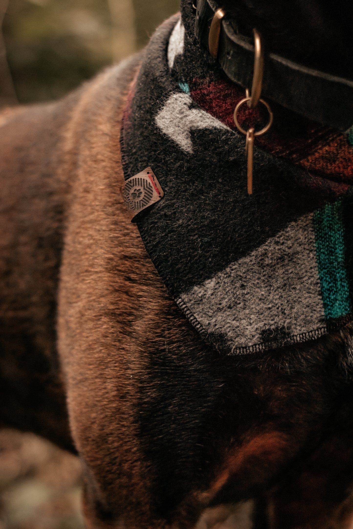 Halstuch ASA - Bandana | Hundehalstuch | mittelschwer
